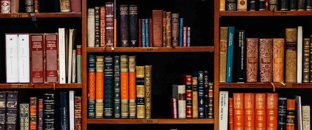 Multi-generational family walking together in a sunlit park